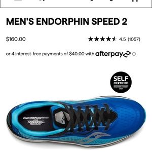Saucony Endorphon Speed 2